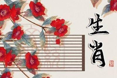 屬兔合屬蛇相沖得很厲害嗎