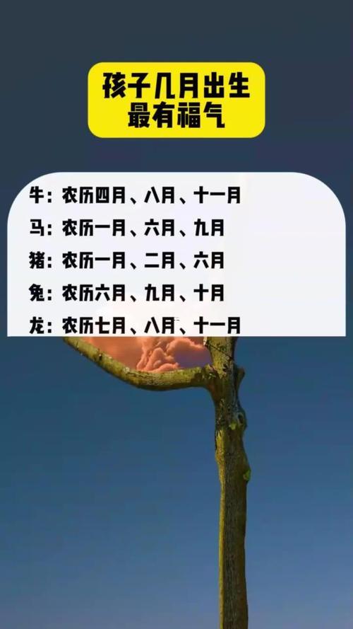 2026年9月最吉利得日子生孩子