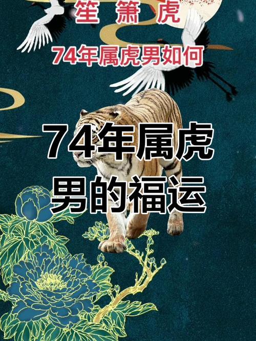1974年屬啥東西