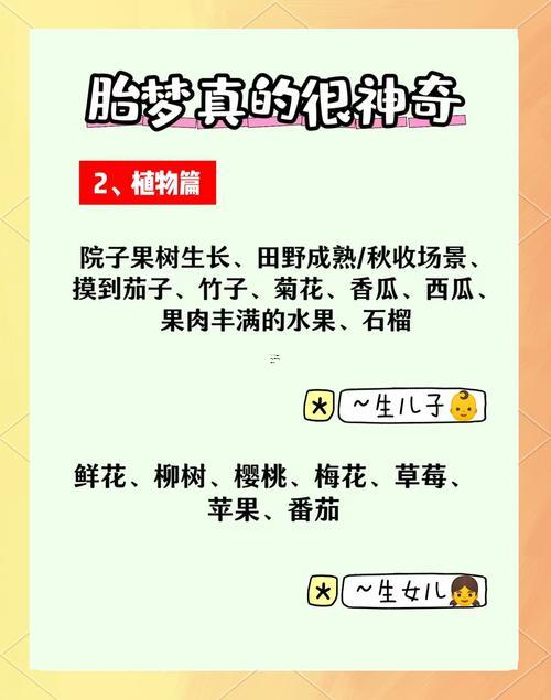 夢見很多小魚