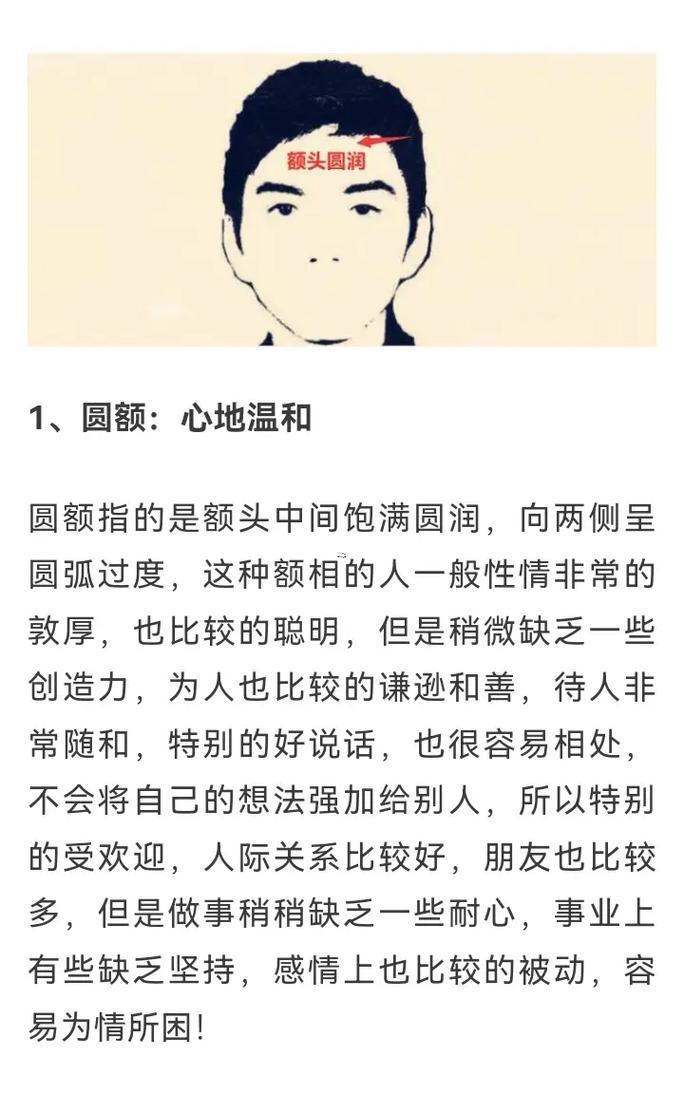 額什么東西意思