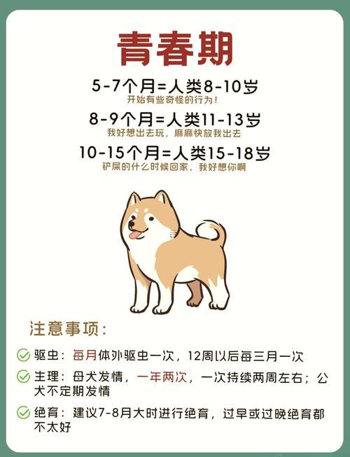 1970年屬狗51歲運(yùn)氣好不好