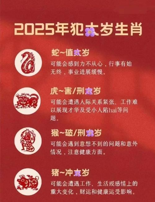 屬豬是哪一年的
