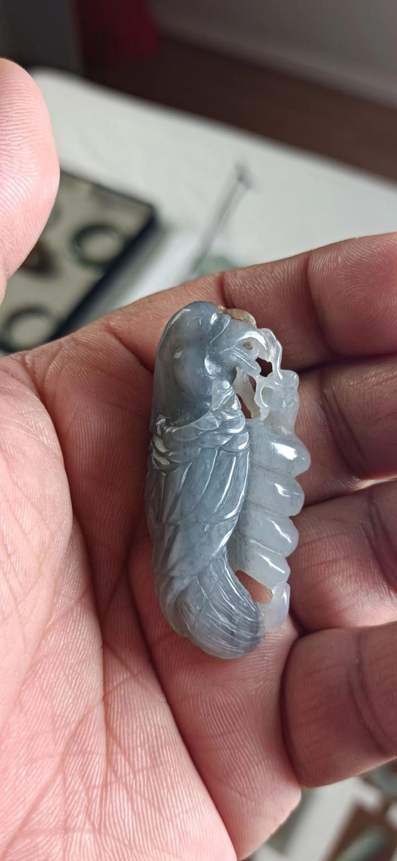 屬蛇得能不能紋老鷹