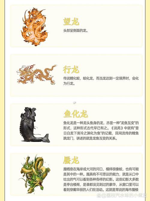 龍生肖的由來