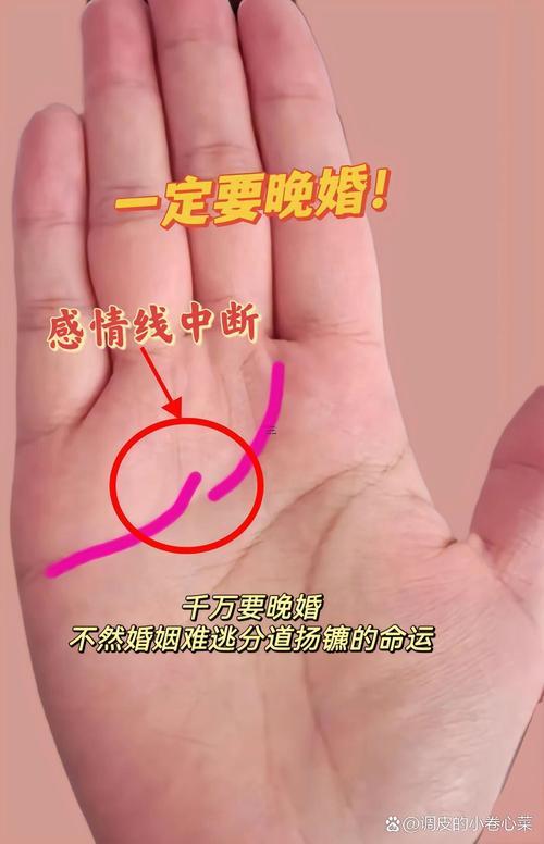感情線分叉代表啥