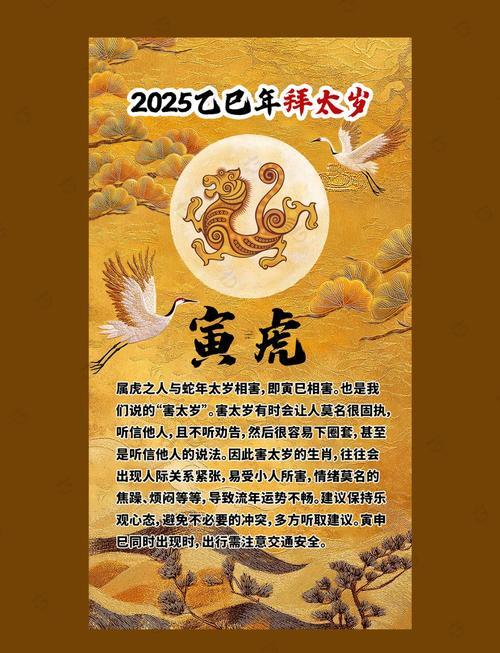 屬豬與屬蛇的結(jié)婚