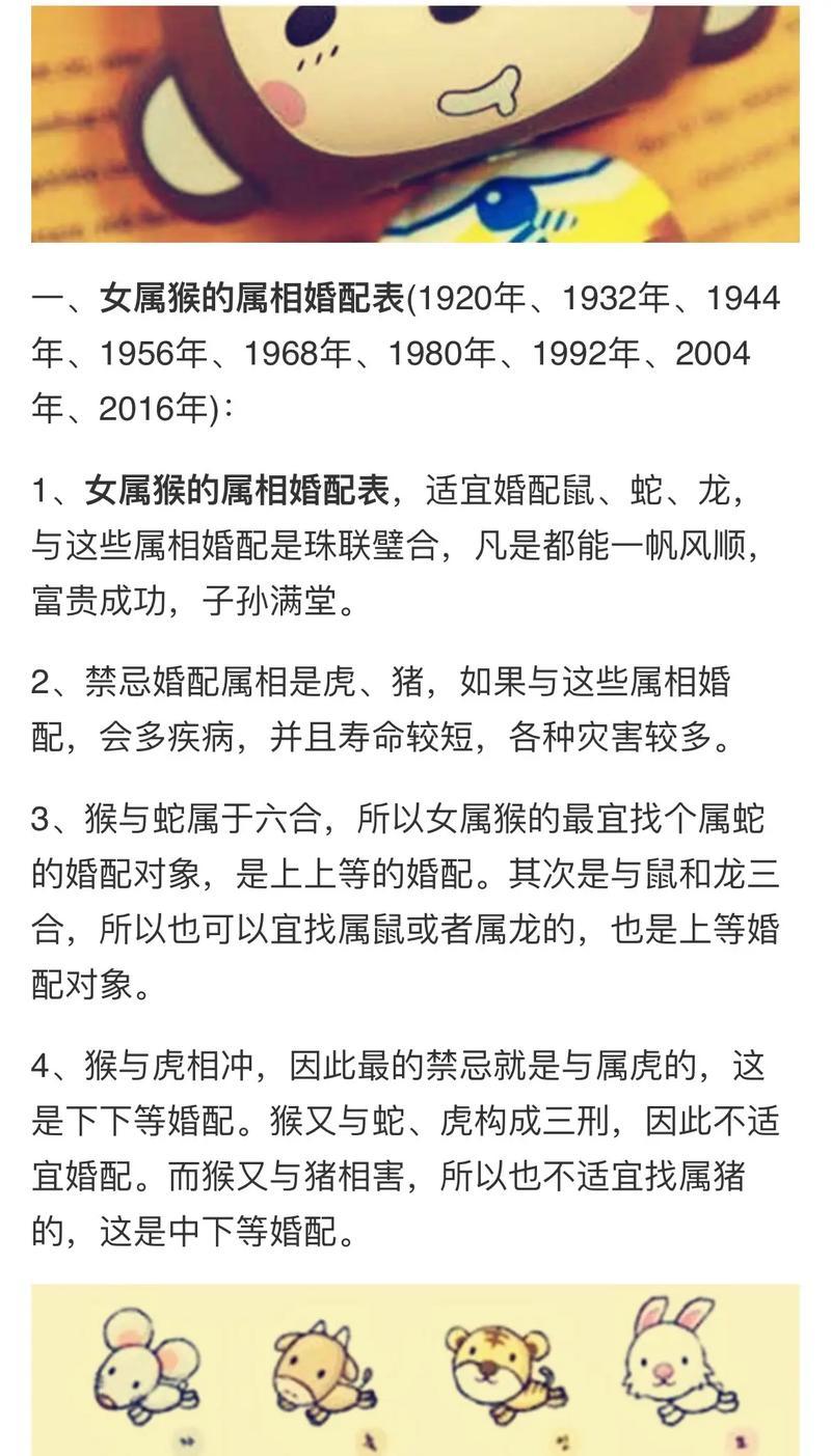 猴同猴的屬相合不合