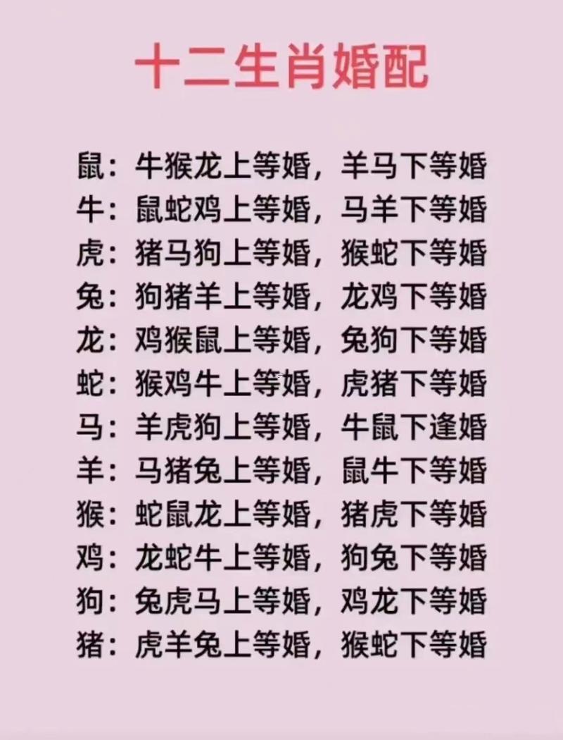 屬相合的生肖