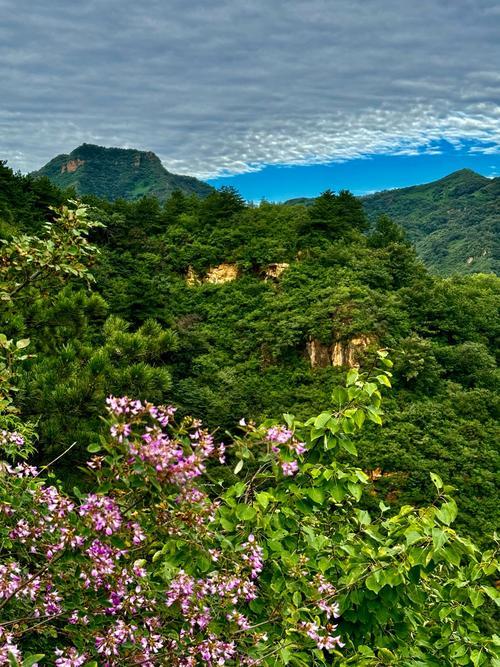 屬虎有山有水有樹林的名字