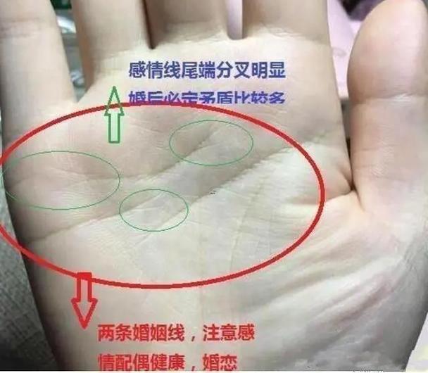 手相看命運