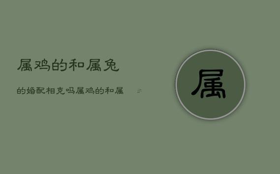屬雞還有屬兔的合不合