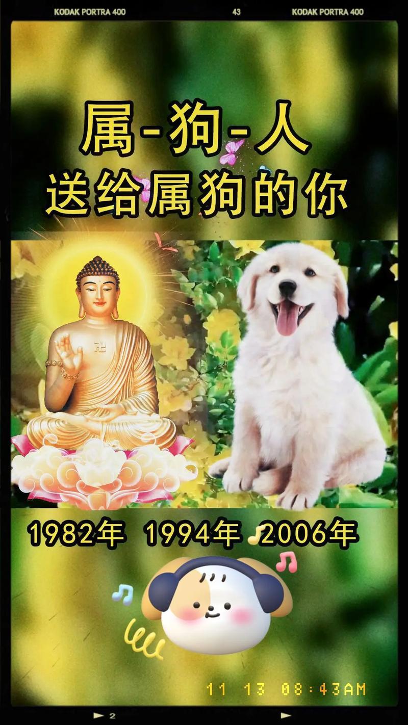 94年屬狗多少歲有災(zāi)