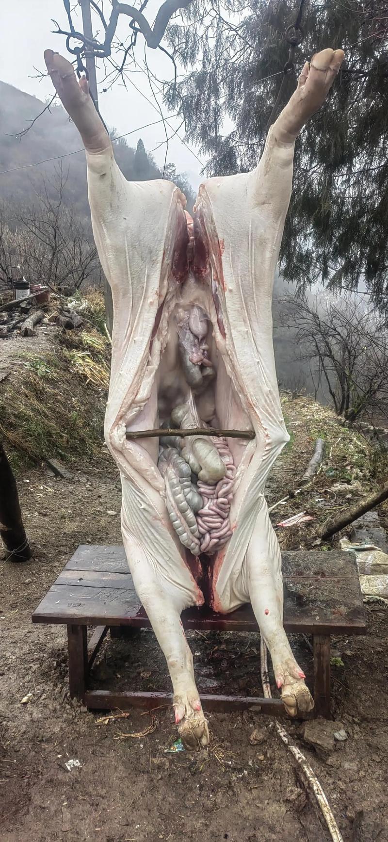 周公解夢大全查詢夢見殺豬吃肉