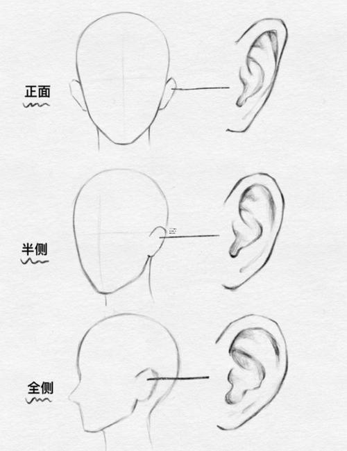 耳朵小的男人的命運