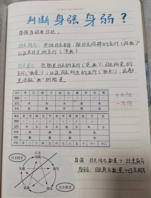 怎么看身強身弱