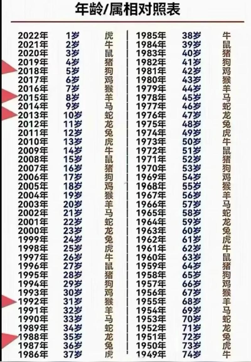 九八年屬什么東西東西