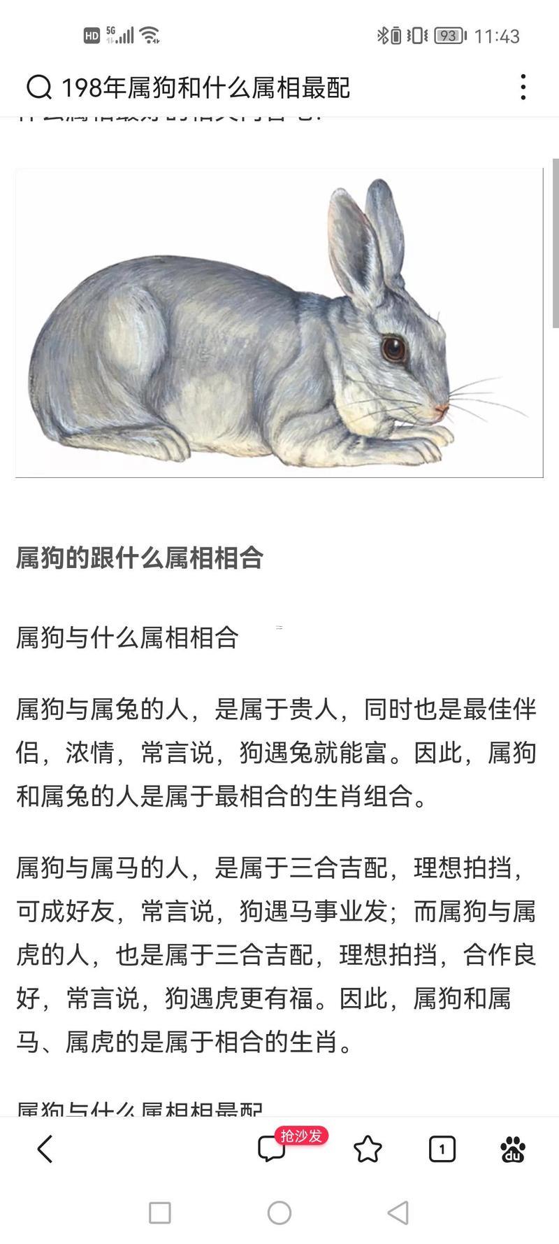 屬兔和屬狗