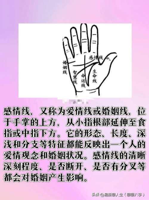 看手相準嗎可信嗎