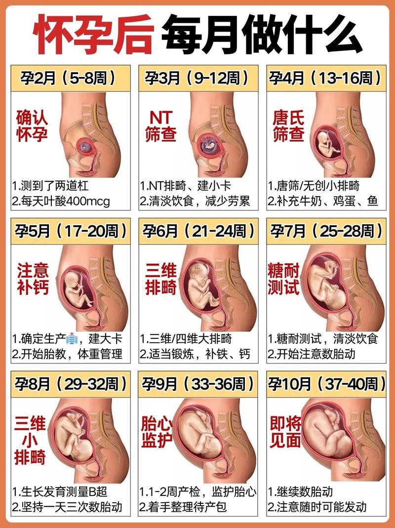 11月份生寶寶吉日良辰
