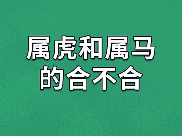 屬虎跟著屬馬合嗎