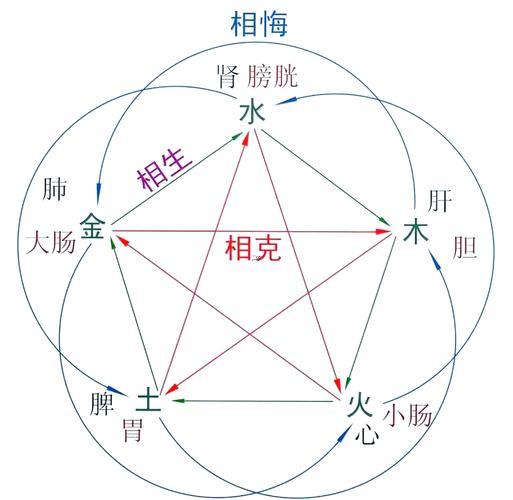 五行五臟