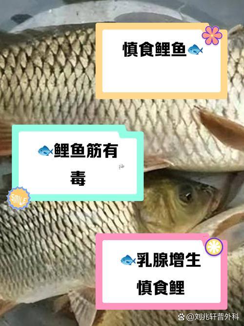 女人夢見吃魚是何事征兆周公解夢
