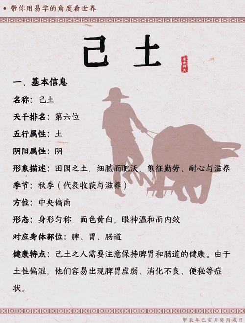 己土是啥東西土