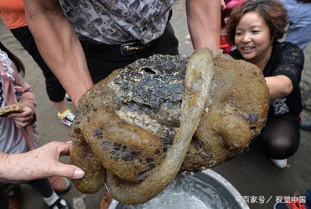 敢在太歲頭上動(dòng)土膽子不小是什么東西意思