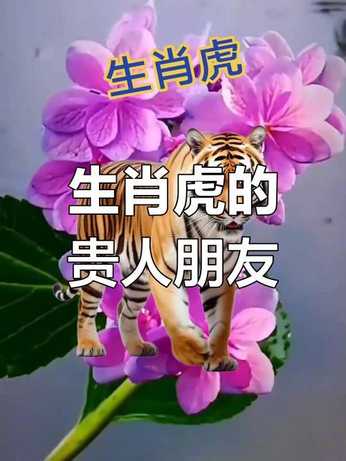 屬龍好嗎