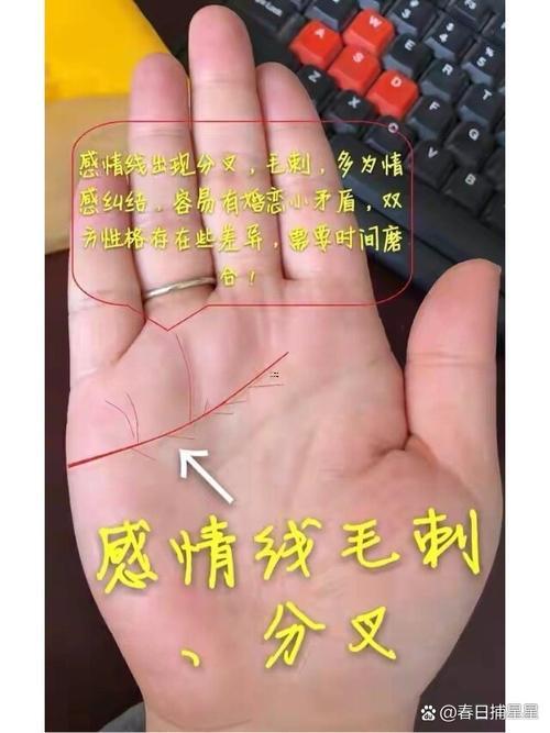 智慧線分叉