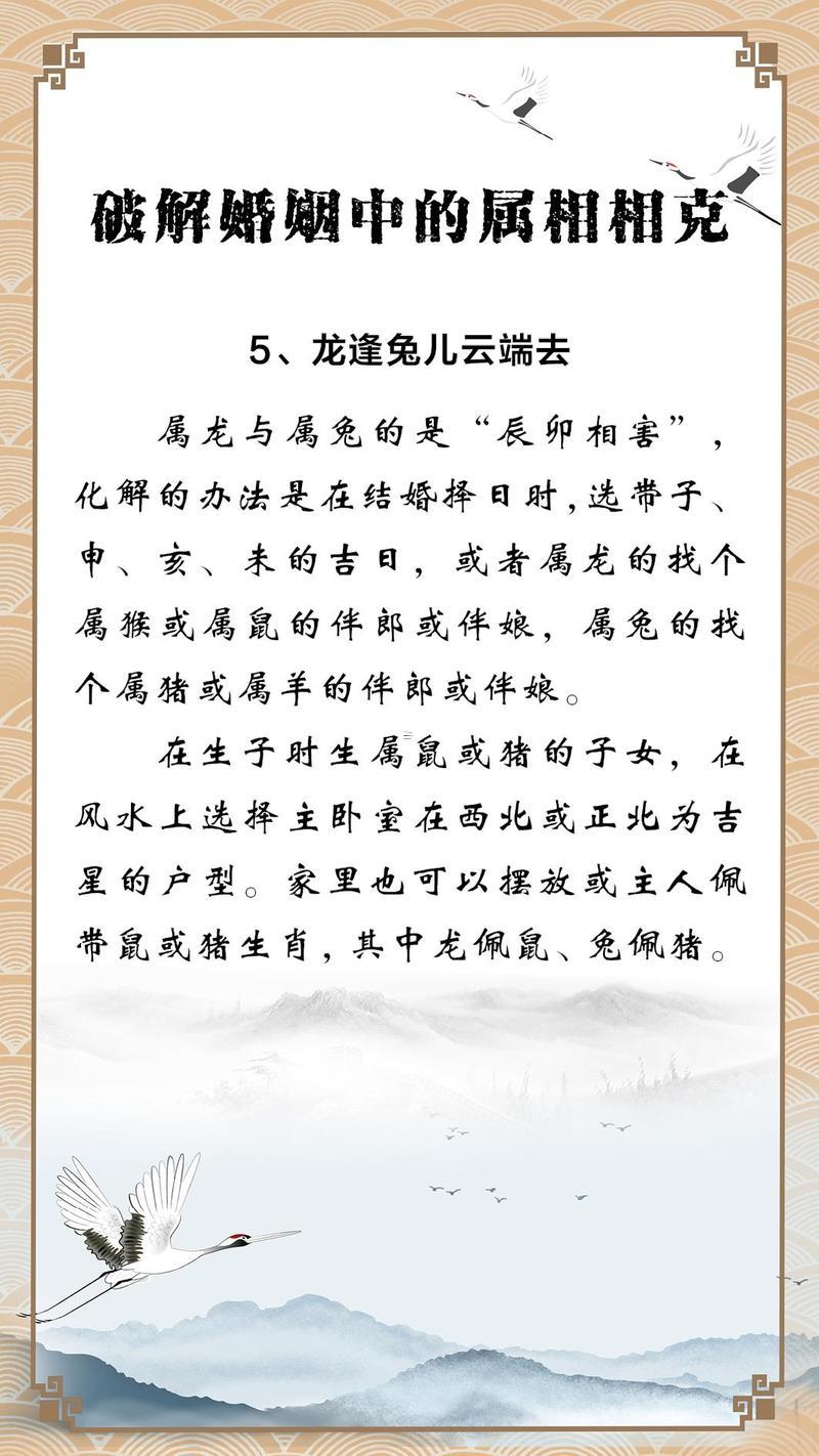 龍還有兔在一起對誰不利