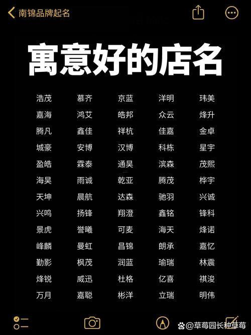 網(wǎng)絡(luò)霸氣名字