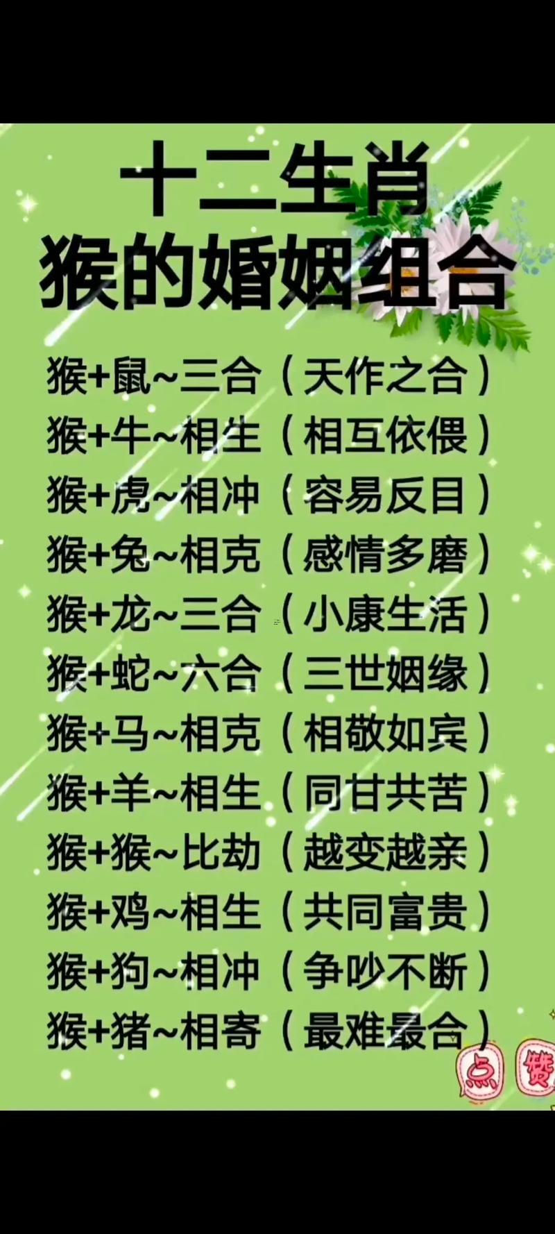 狗鼠屬相相配嗎