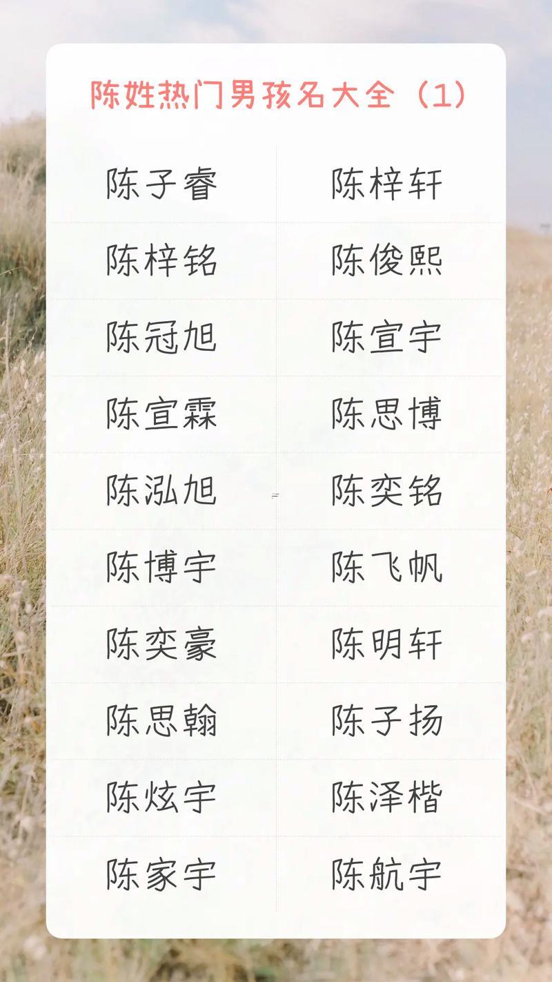 陳的名字男孩子