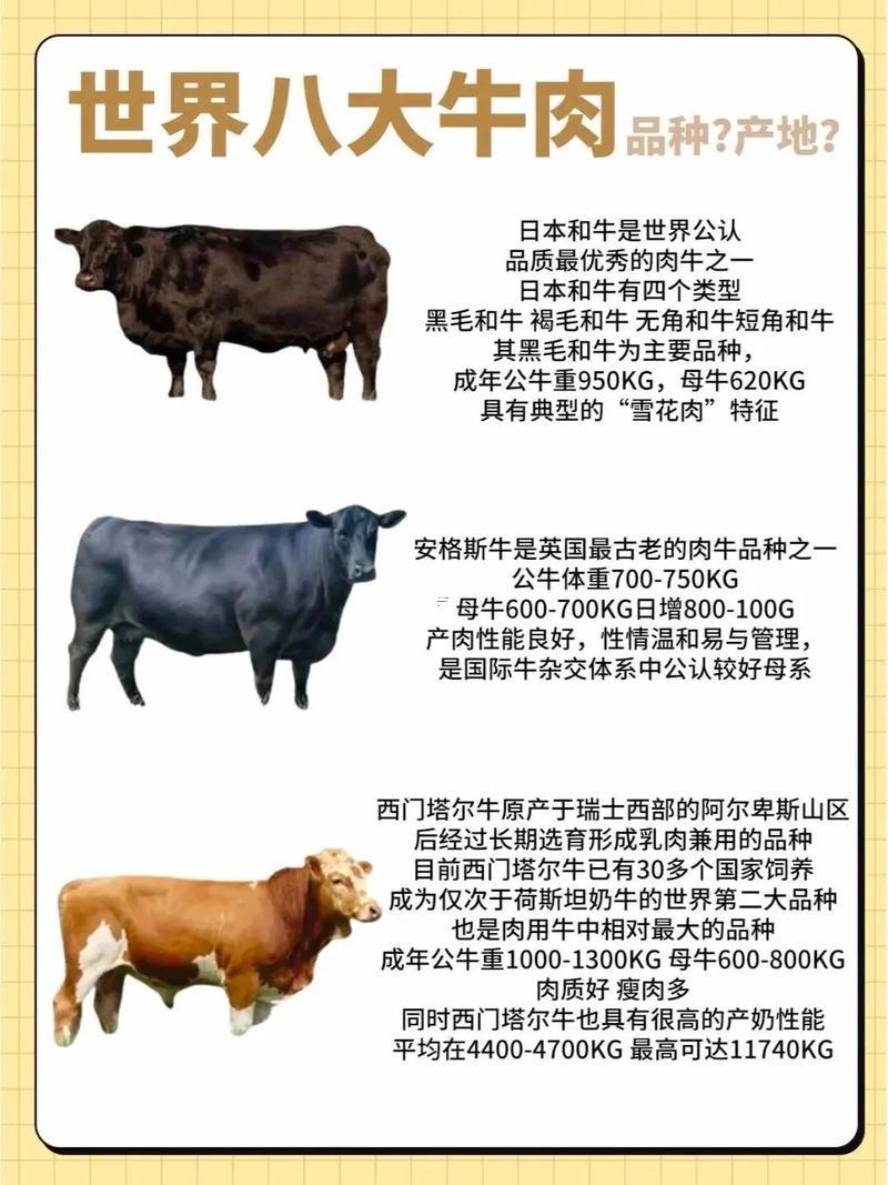 牛b的名字