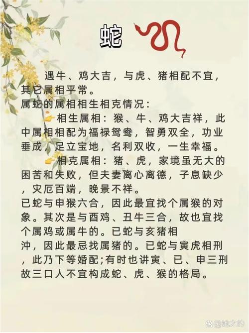 馬與猴的生肖婚姻般配嗎