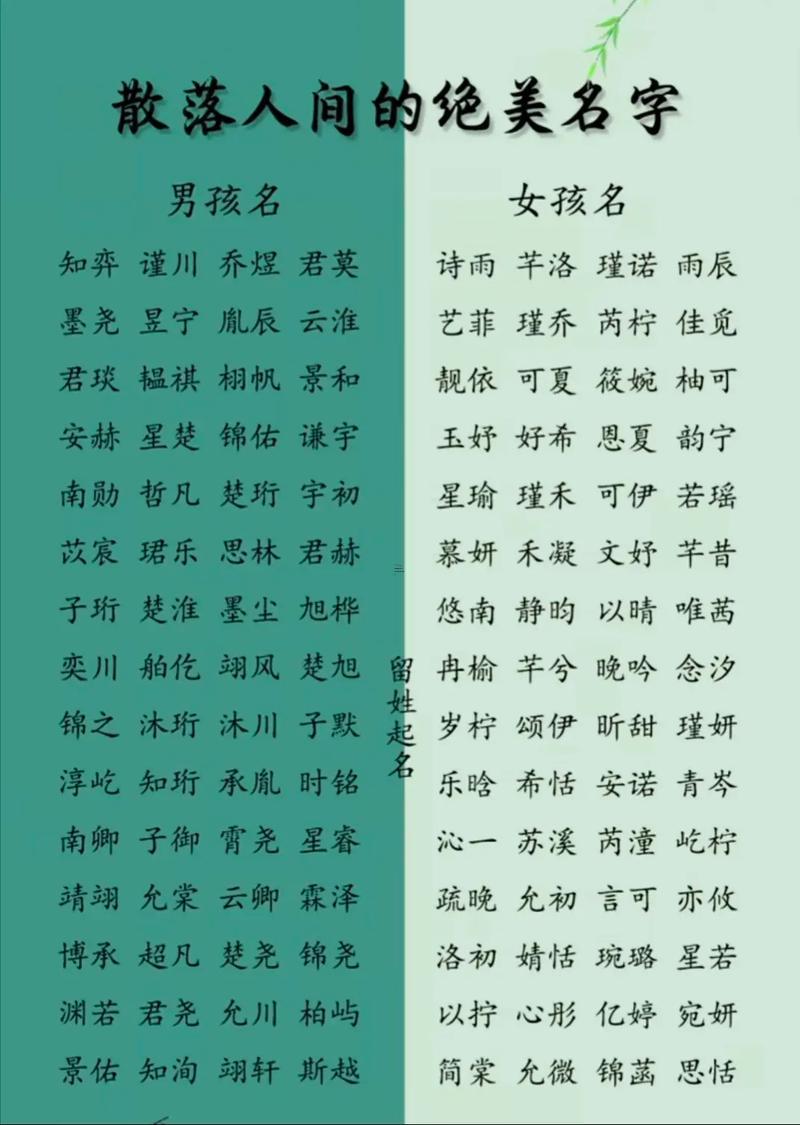 新生兒取名打分免費