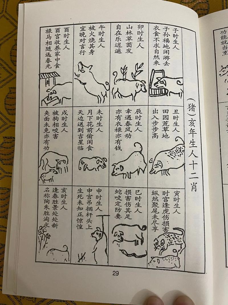 雞五行屬什么