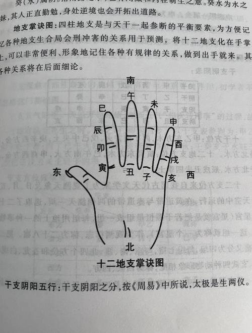土生火還是火生土