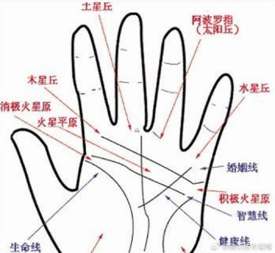 中年好辦離婚手相三角戀手相