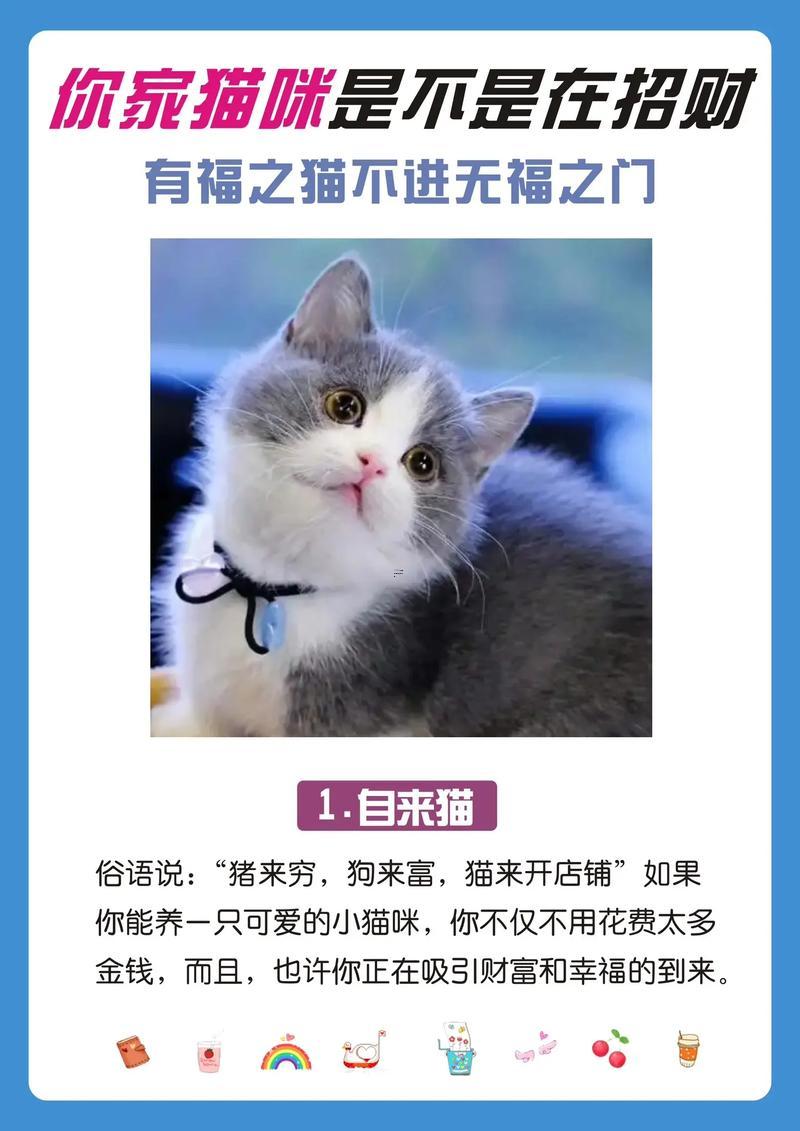 與養(yǎng)貓哪一個(gè)招財(cái)