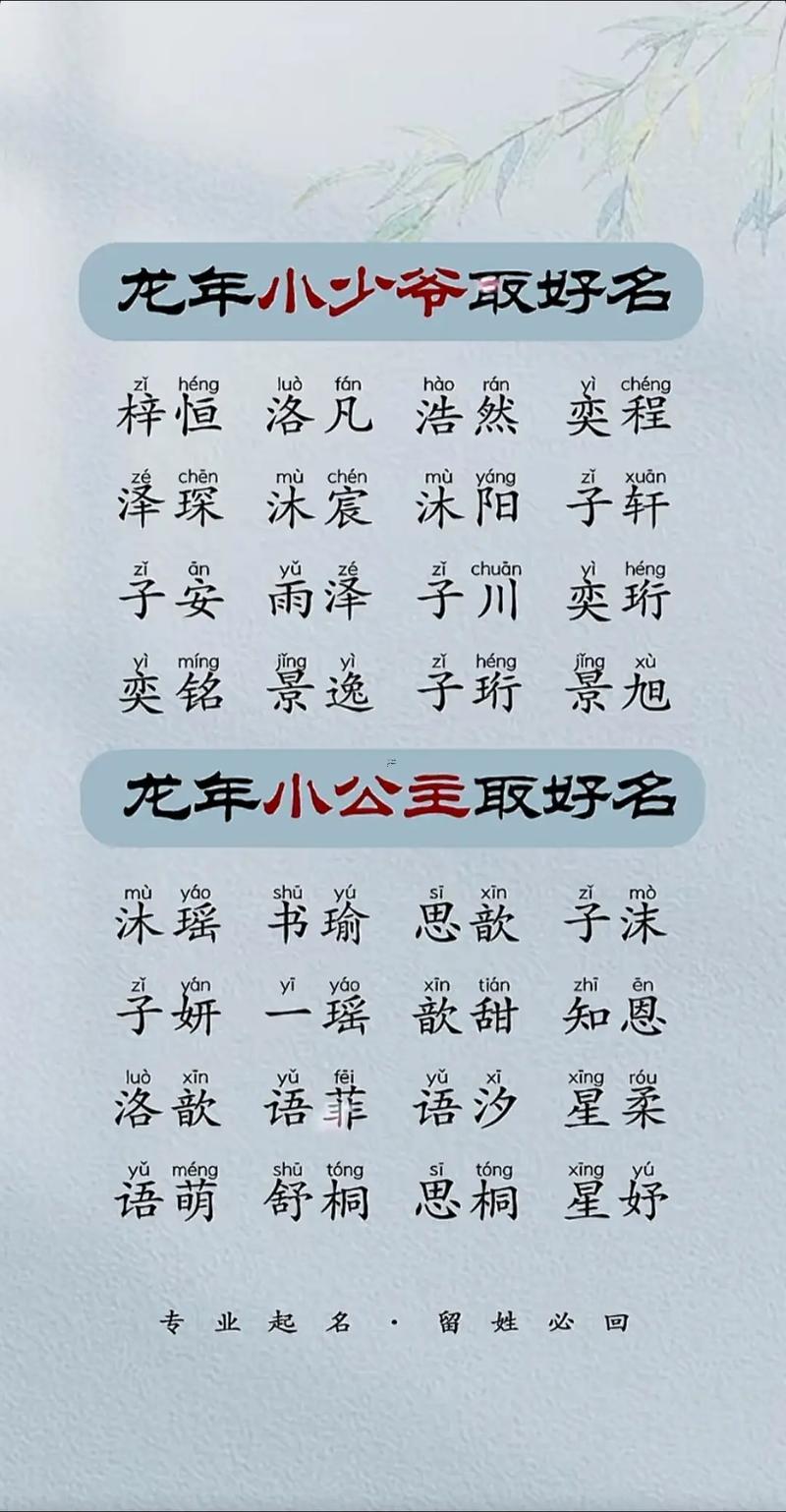 男孩叫什么名字