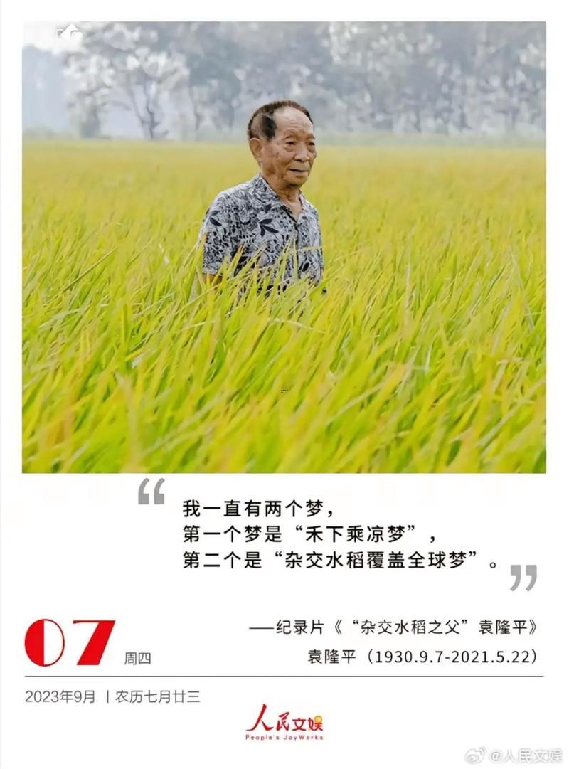 夢(mèng)見水稻