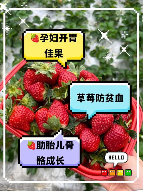 夢到草莓