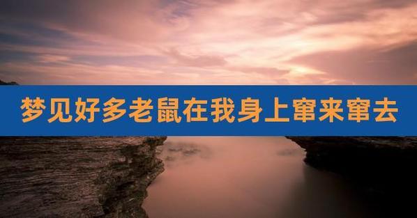 夢見老鼠咬我