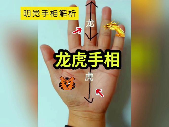 男人虎吞龍手相是怎么樣的