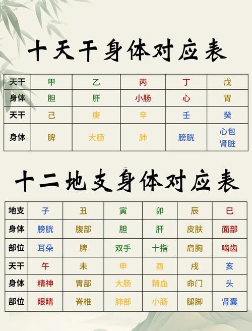 十天干還有十二地支