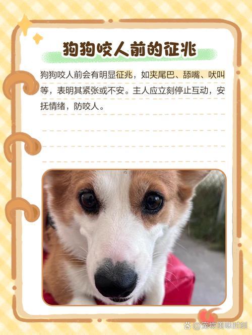 夢(mèng)見被狗咬手指
