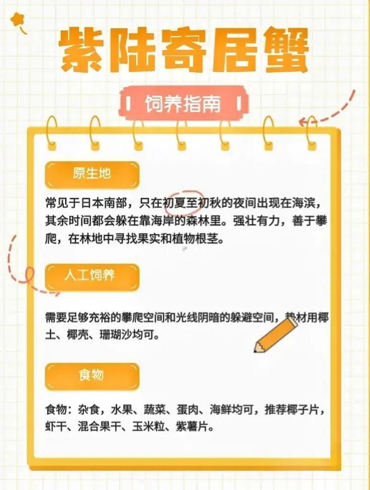 螃蟹得寓意跟著象征
